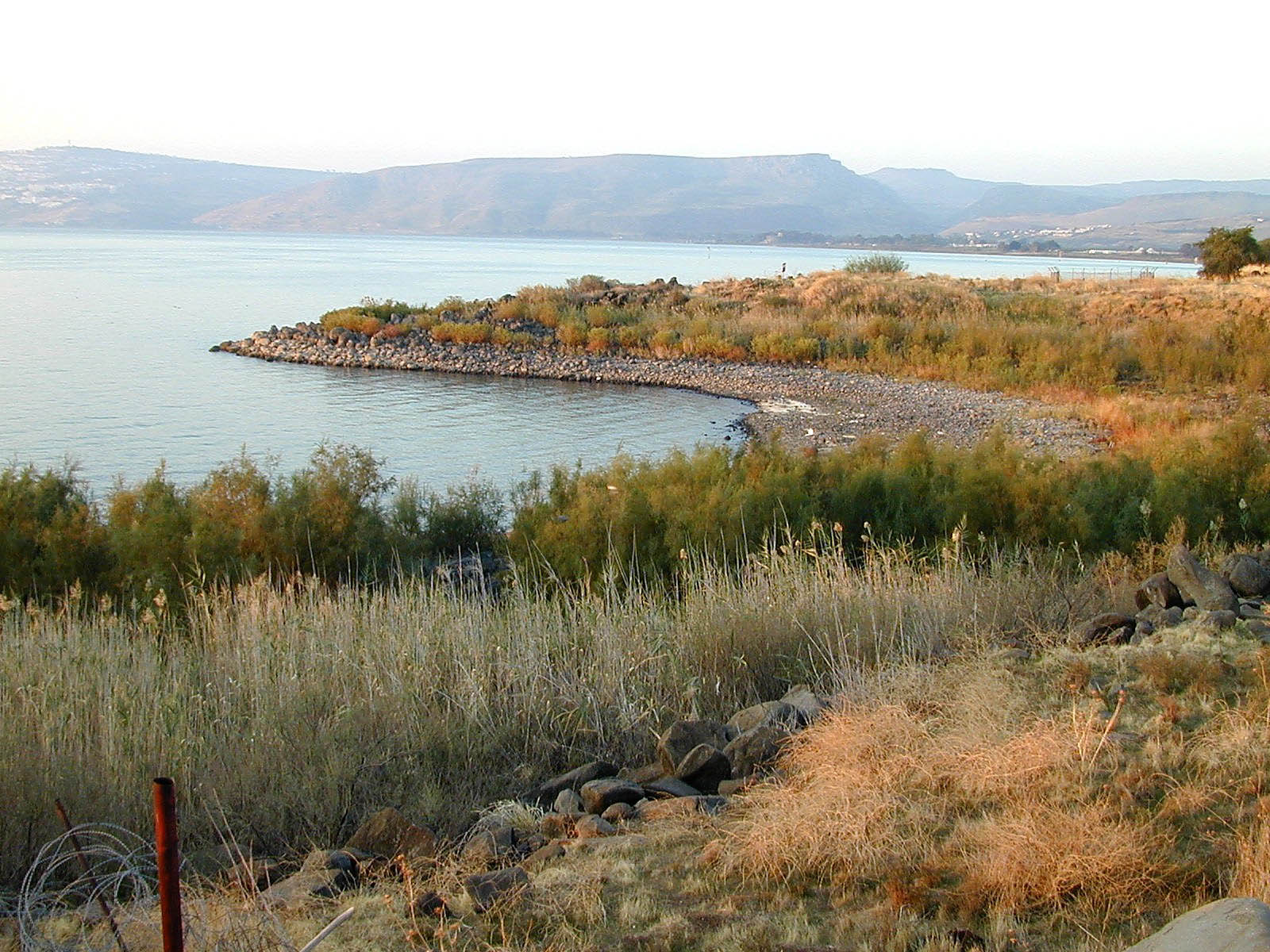 Cove of the Sower from the east. This is the suggested location of Yeshua's teaching we call 'The Parable of the Sower' (Matthew 13). This region's acoustic properties have been analyzed.  Scientists found that a person could be in a boat a few feet from the shore and easily be heard without amplification by ‘large crowds’ scattered several hundred feet up the embankment.  Courtesy of the [Pictorial Library of Bible Lands](https://www.bibleplaces.com)