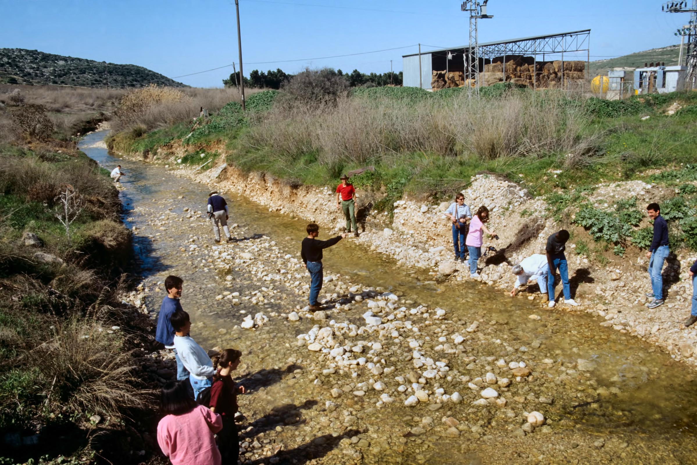 Elah brook with students picking smooth stones. Courtesy of the [Pictorial Library of Bible Lands](https://www.bibleplaces.com)